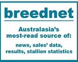 https://www.breednet.com.au/news/13004/-holy-moly---huge-platinum-pay-day